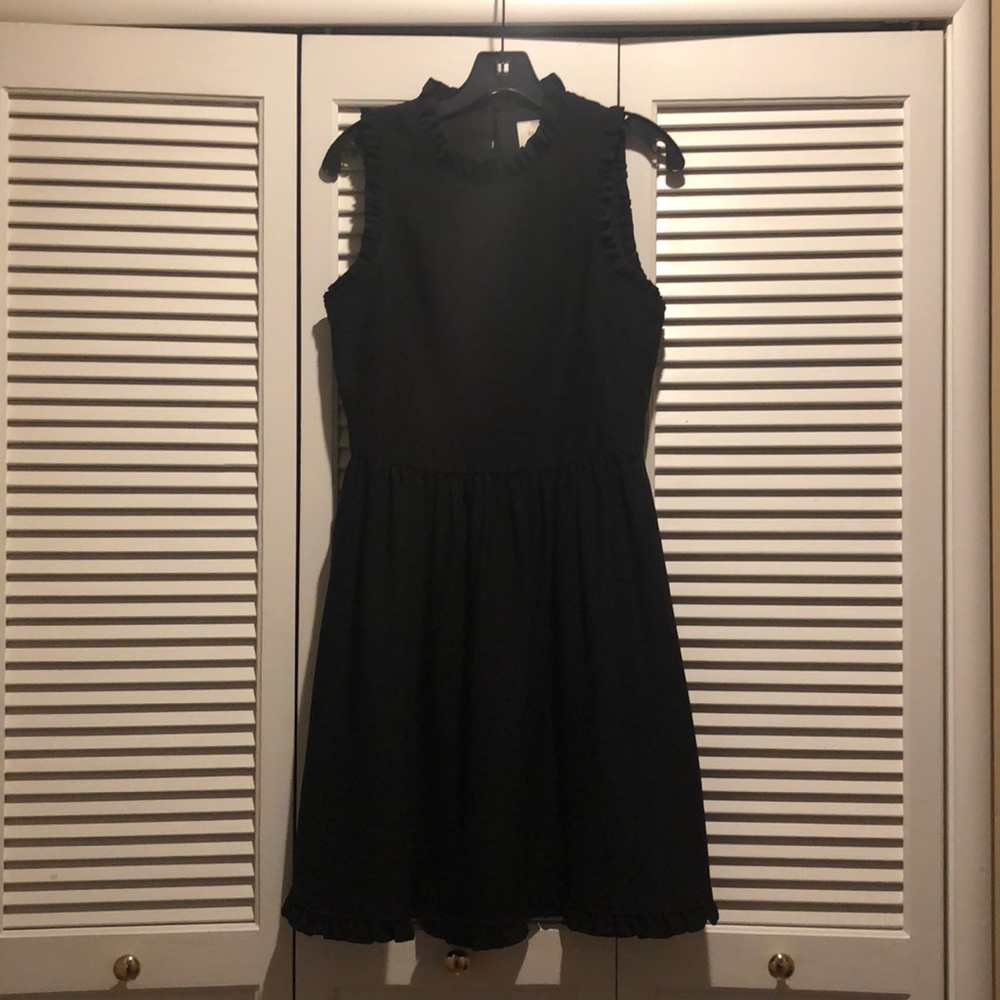 Kate spade fit and flare dress